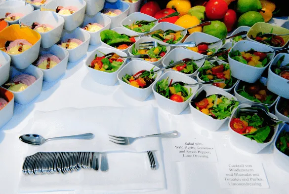 Bisnis Makanan Catering