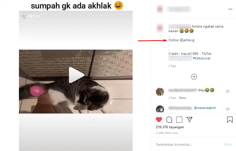 Tag Dari Akun Publik