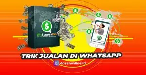 Cara Jualan di Whatsapp yang Mudah dan Praktis
